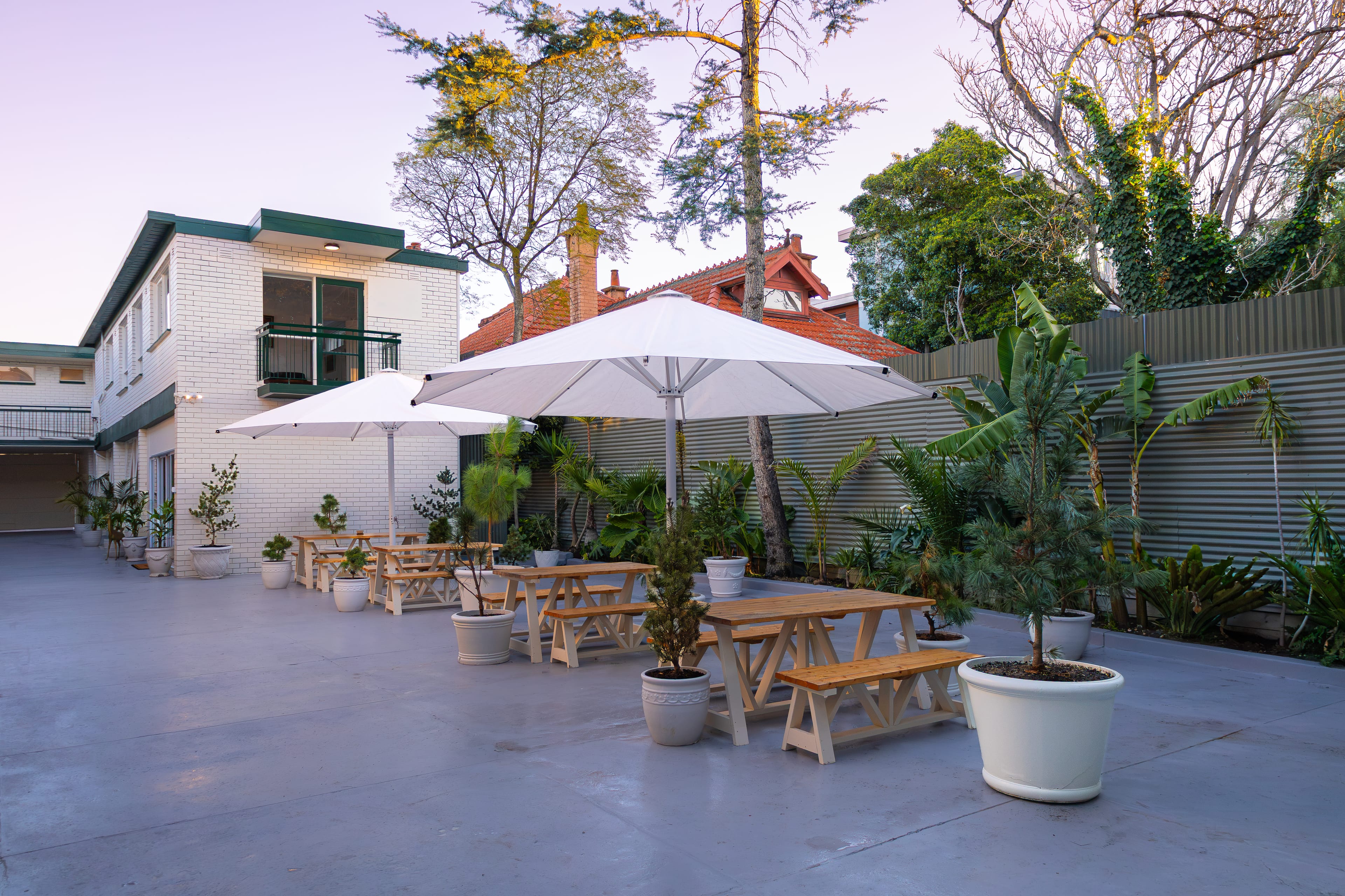 A Courtyard Made for Long Afternoons